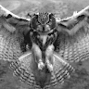 Meet your Posher, Kyla